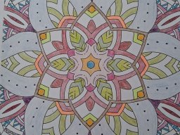 whatsapp image 2026-01-09 at 12.28.01